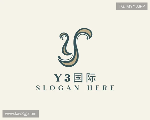 介绍Y3国际